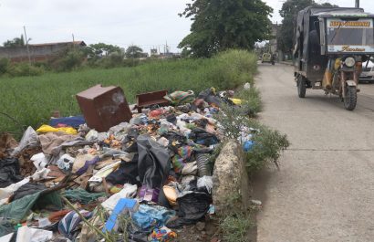 Leptospirosis en Ecuador Ratas desatan alarma sanitaria en 2025