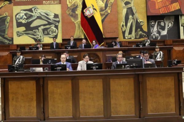 Ley de Integridad Pública: Así votaron los legisladores de la provincia de Manabí en la sesión 013 de la Asamblea Nacional. (AN).