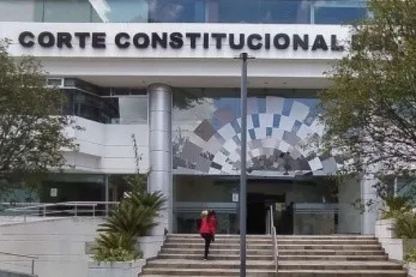 Ley de Solidaridad contra la Economía Criminal enfrenta revisión constitucional