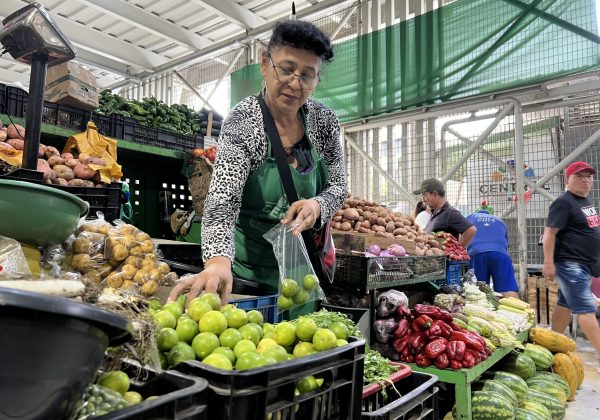 En el mercado de Portoviejo, el limón se comercializa entre 15 y 20 unidades por un dólar, dependiendo su tamaño.