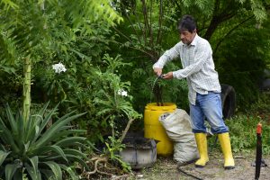 Día Mundial del Medio Ambiente: seis sectores de Portoviejo afectados por deforestación serán reforestados