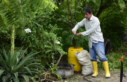 Día Mundial del Medio Ambiente: seis sectores de Portoviejo afectados por deforestación serán reforestados