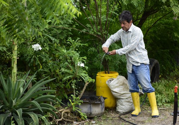 Día Mundial del Medio Ambiente: seis sectores de Portoviejo afectados por deforestación serán reforestados