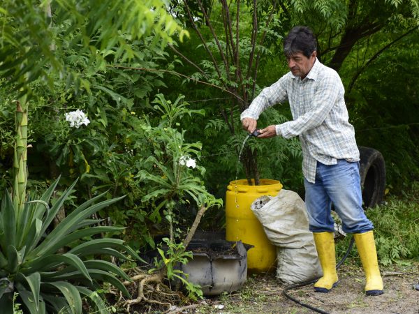 Día Mundial del Medio Ambiente: seis sectores de Portoviejo afectados por deforestación serán reforestados