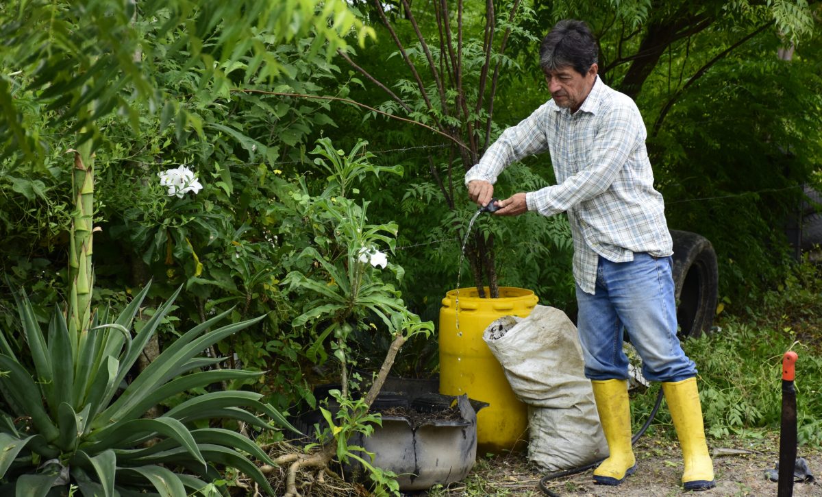 Día Mundial del Medio Ambiente: seis sectores de Portoviejo afectados por deforestación serán reforestados
