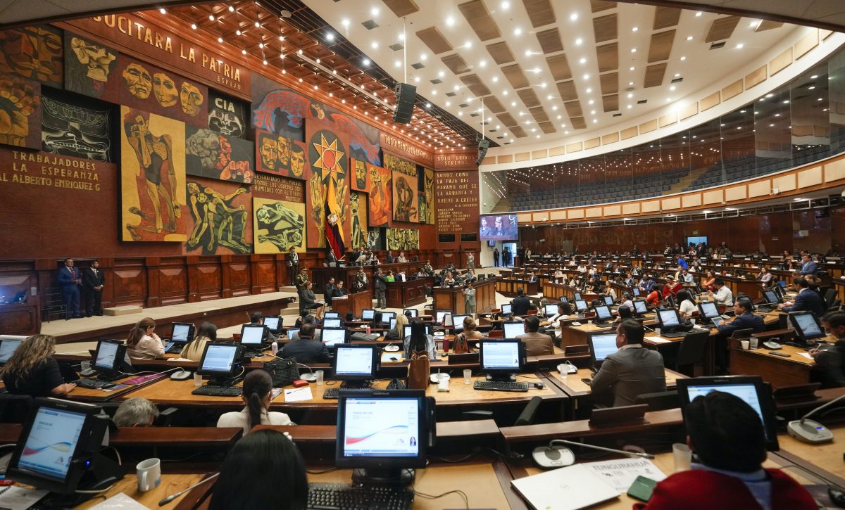 Manabí envía a Sus 10 representantes a la Asamblea Nacional 2025-2029