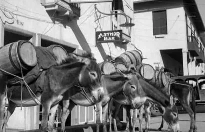 Manta históricamente ha sufrido escasez de agua potable. Los burros eran utilizados para transportar agua desde los pozos ( Fotografía de Rolf Blomberg).