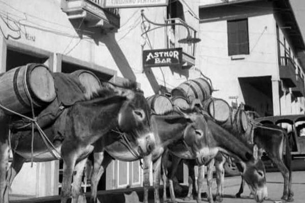 Manta históricamente ha sufrido escasez de agua potable. Los burros eran utilizados para transportar agua desde los pozos ( Fotografía de Rolf Blomberg).