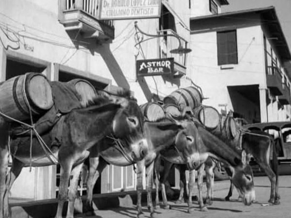 Manta históricamente ha sufrido escasez de agua potable. Los burros eran utilizados para transportar agua desde los pozos ( Fotografía de Rolf Blomberg).