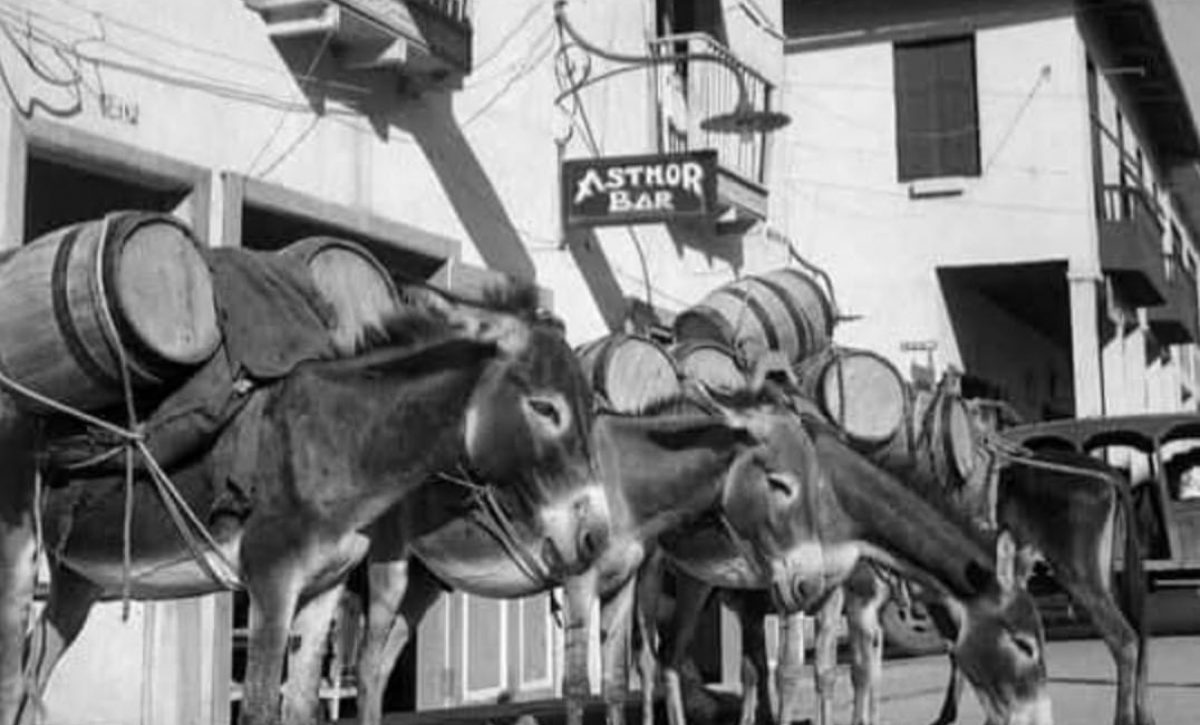 Manta históricamente ha sufrido escasez de agua potable. Los burros eran utilizados para transportar agua desde los pozos ( Fotografía de Rolf Blomberg).