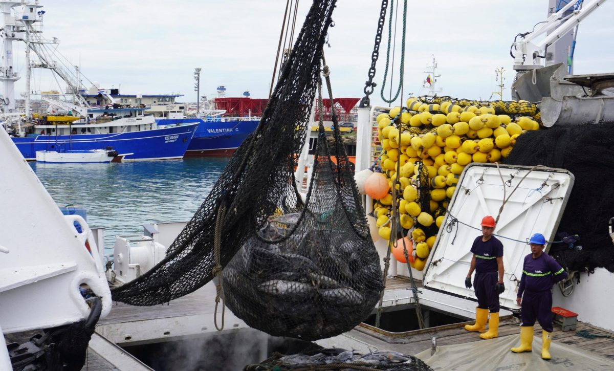 Los visitantes observaron cómo se realiza el control de pesca en el puerto de Manta.