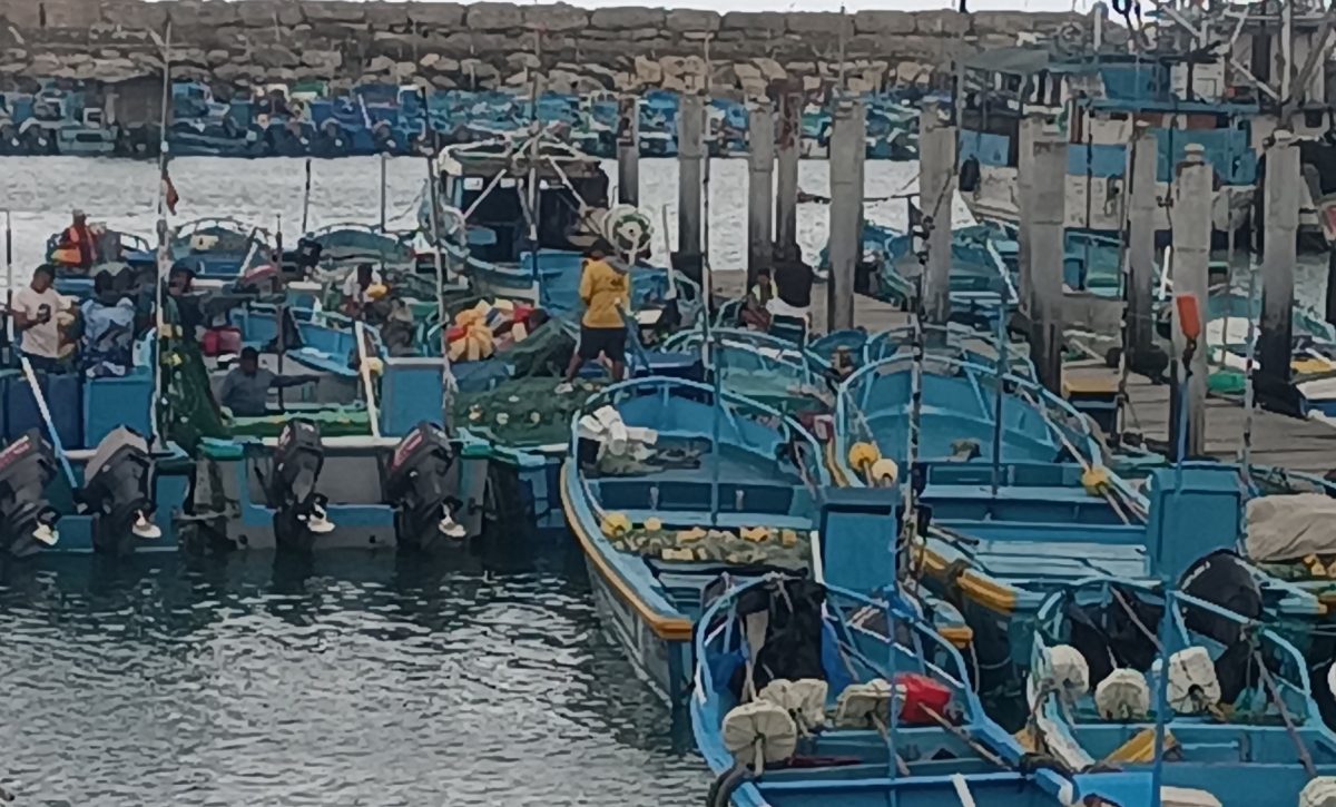 Los pescadores de Manta y Manabí enfrentan constantes robos de motores. El Gobierno prepara la entrega de 600 motores.