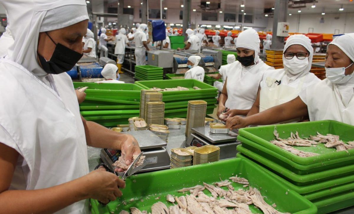 La eliminación del subsidio al diésel afecta a la flota atunera. La industria en tierra apuesta por transformación para seguir siendo competitiva.