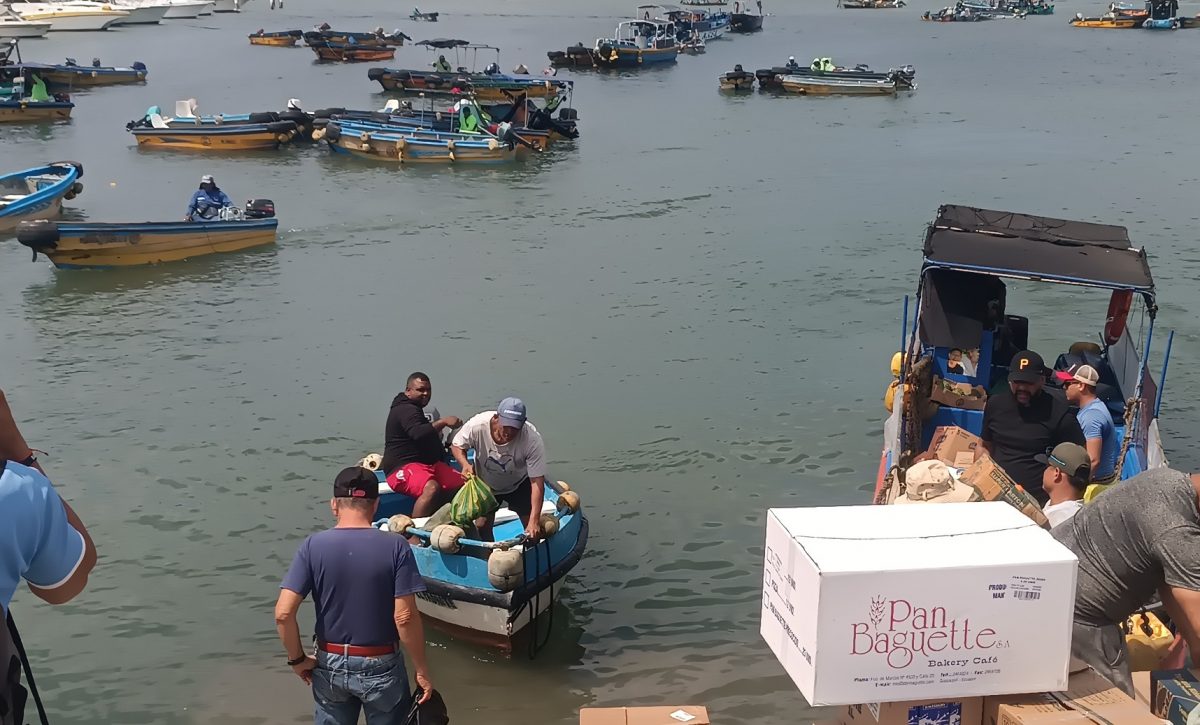 La Asamblea Nacional analiza una normativa que busca otorgar seguridad social a los pescadores artesanales de Ecuador.