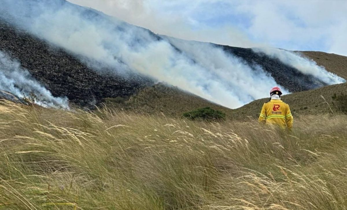 Más de 1.000 hectáreas afectadas por incendio en la Reserva Ecológica Cotacachi-Cayapas