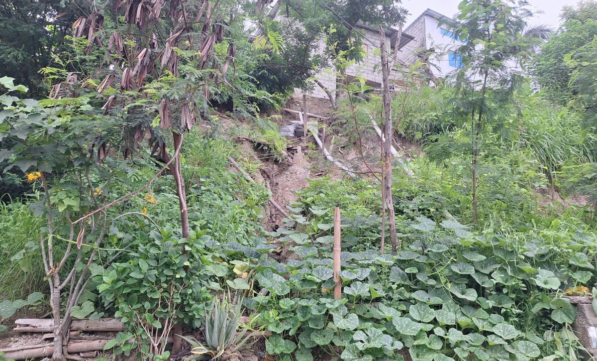 Moradores de Los Jardines piden reparación de muro de contención