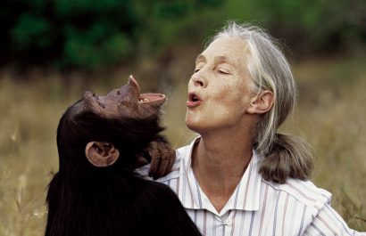 Muere Jane Goodall, un legado de seis décadas en la etología. Foto/ EuropaPress.