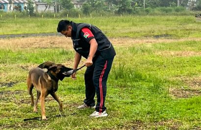 Municipio y Bomberos capacitan a personal sobre control de perros peligrosos