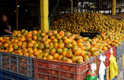 Naranjas, toronjas y mandarinas los cítricos que inundan los mercados de Manabí