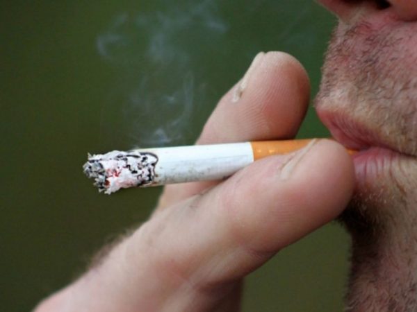 ONG advierte que fumar reduce el volumen del cerebro