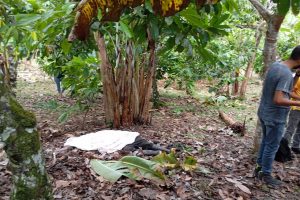 Otra muerte violenta en los límites entre Manabí y Santo Domingo de los Tsáchilas