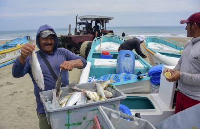 La temperatura fría del mar, empieza a favorecer la pesca de pelágicos pequeños.