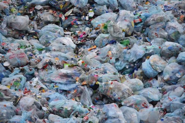 La contaminación plástica se ha convertido en uno de los problemas ambientales más urgentes debido al aumento abrumador en la producción de productos plásticos desechables.