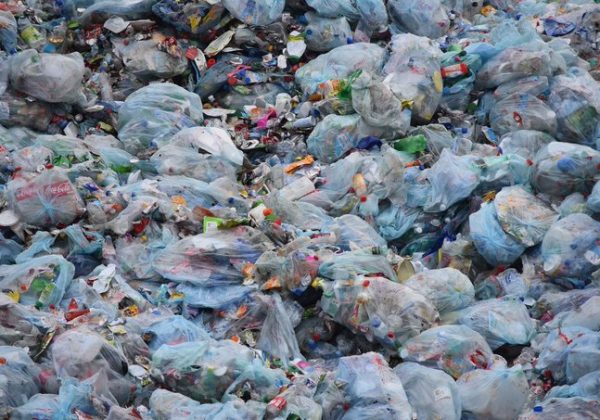 La contaminación plástica se ha convertido en uno de los problemas ambientales más urgentes debido al aumento abrumador en la producción de productos plásticos desechables.