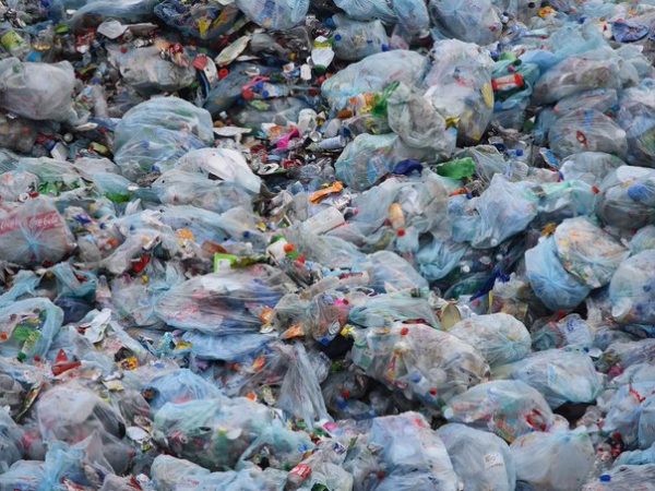 La contaminación plástica se ha convertido en uno de los problemas ambientales más urgentes debido al aumento abrumador en la producción de productos plásticos desechables.