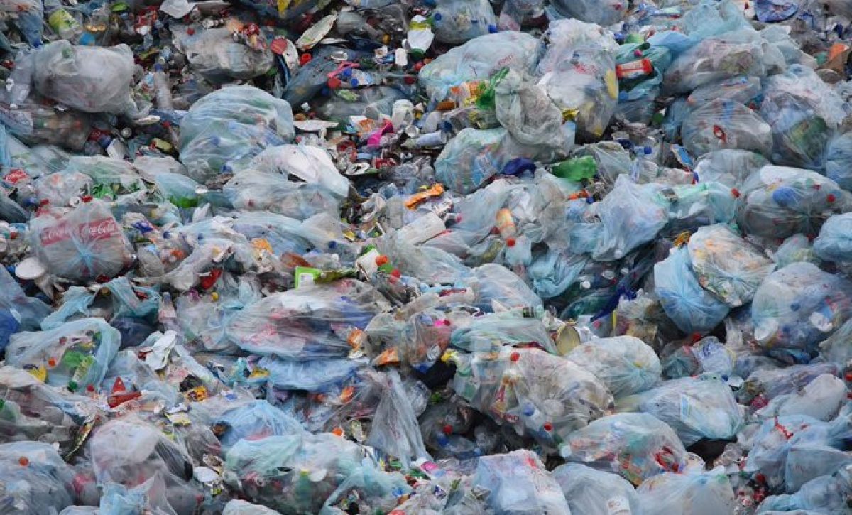 La contaminación plástica se ha convertido en uno de los problemas ambientales más urgentes debido al aumento abrumador en la producción de productos plásticos desechables.