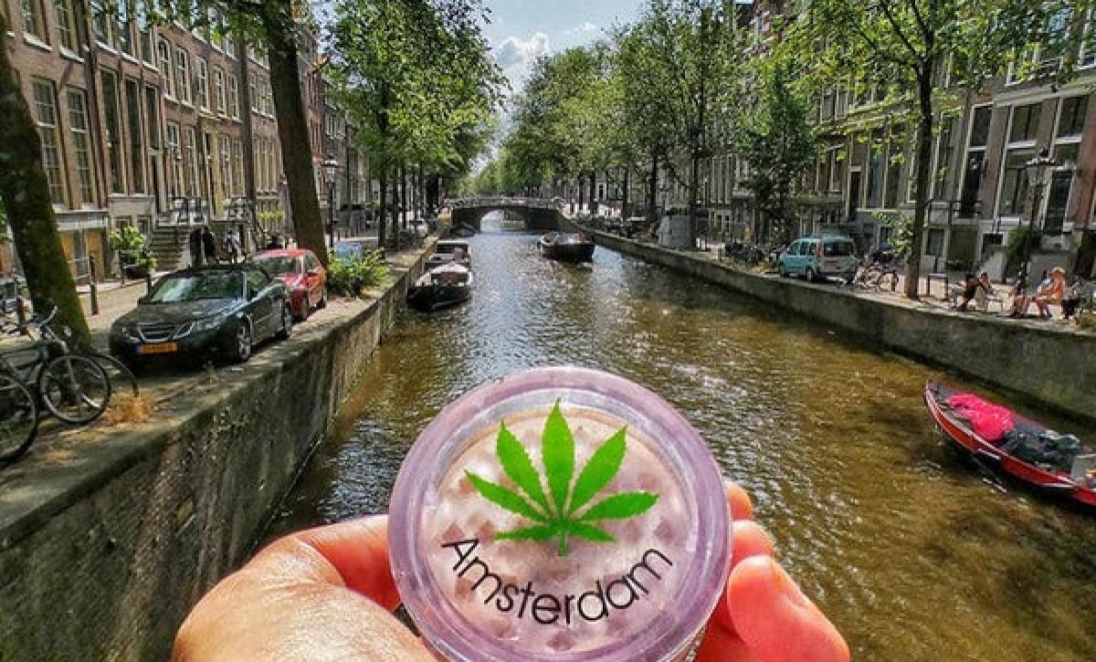 Países Bajos inicia una nueva fase de su experimento sobre el cannabis, limitado ya a plantaciones legales