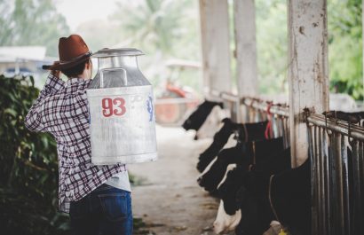 Paro nacional en Ecuador provoca pérdidas millonarias a productores de leche y sector textil.