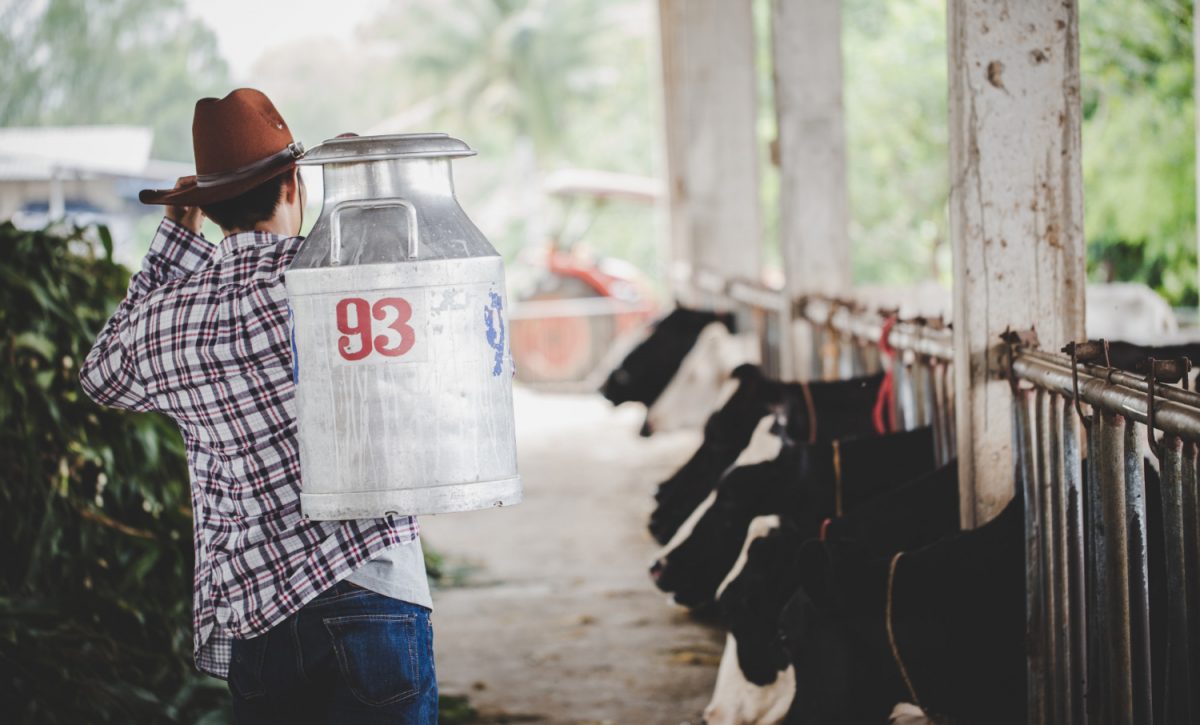 Paro nacional en Ecuador provoca pérdidas millonarias a productores de leche y sector textil.