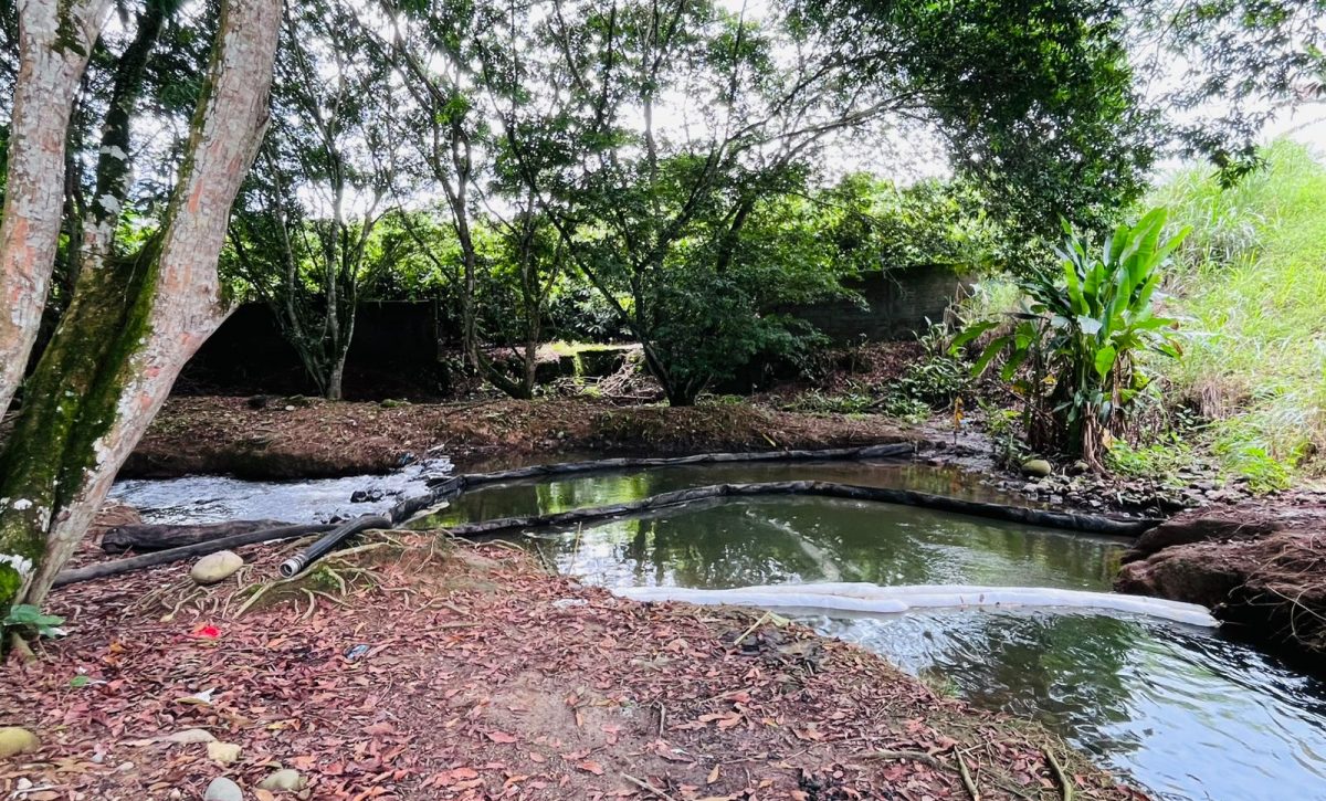 Perforación ilegal de oleoducto provoca grave contaminación en estero de La Concordia