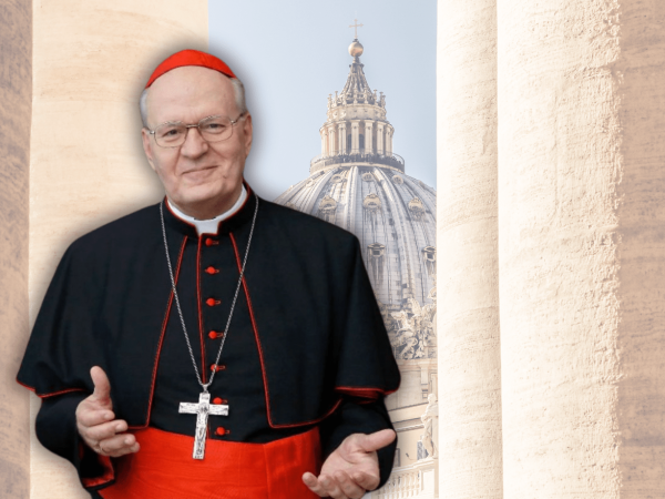 Péter Erdő, cardenal húngaro con fuerte influencia en Europa, emerge como figura clave en la lista de posibles sucesores al papado en 2025