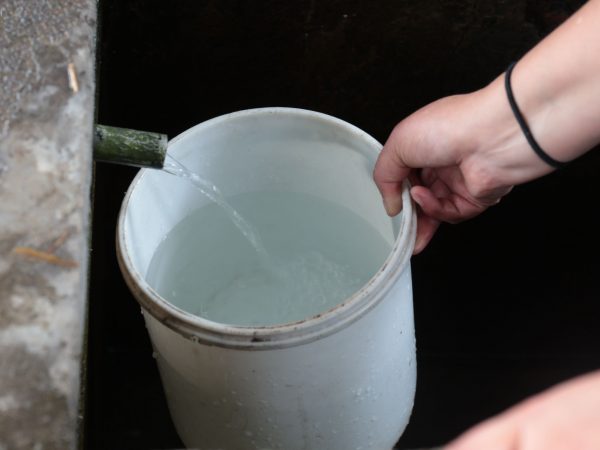 Plantas portátiles potabilizadoras en Quito ¿Cuándo comenzarán a operar para solucionar el desabastecimiento de agua