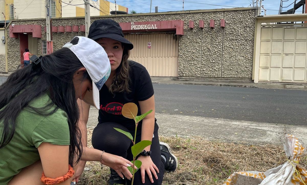 Portoviejo Club Rotario siembra 50 árboles para recuperar espacios verdes