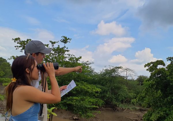 Portoviejo fortalece su perfil ecológico con nuevo evento de avistamiento de aves