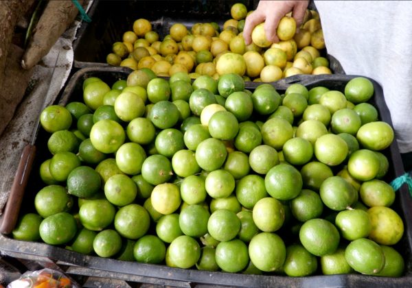 Precios del limón se triplican en el mercado de Portoviejo