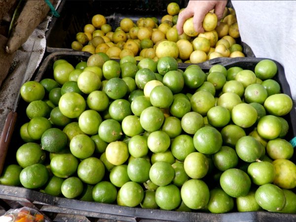 Precios del limón se triplican en el mercado de Portoviejo