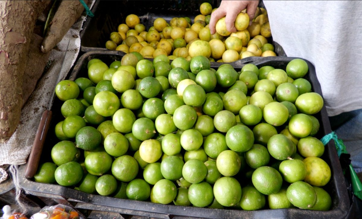 Precios del limón se triplican en el mercado de Portoviejo
