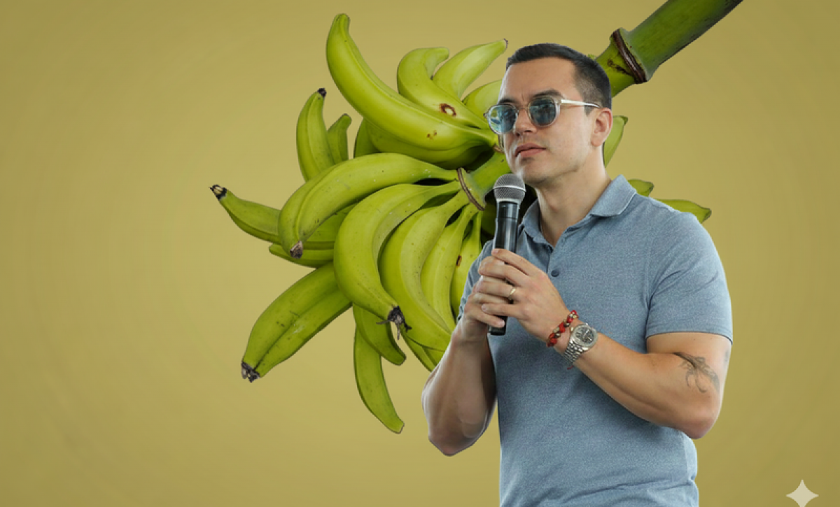 Presidente Daniel Noboa podrá regular los precios del banano y plátano ecuatoriano para exportación, según nuevo decreto.