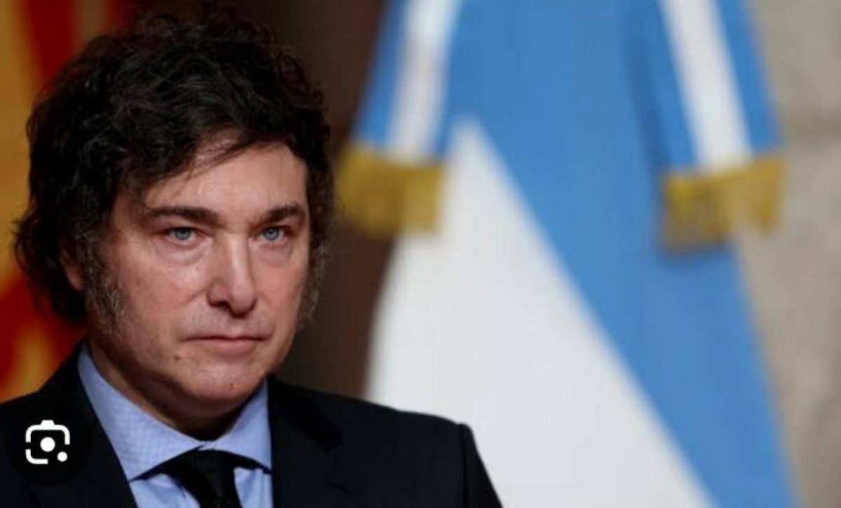 Presidente Milei Descarta Gracia a Fernández El que la hace la paga