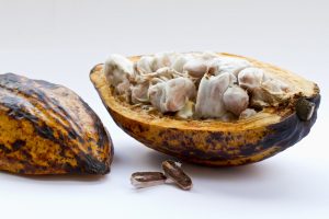 La oferta mundial de cacao se reduce por los problemas de los dos mayores productores mundiales, mientras la demanda sigue alta. Eso eleva los precios.