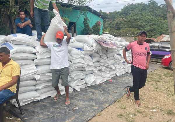 Los productores agrícolas recibieron los fertilizantes subsidiados.