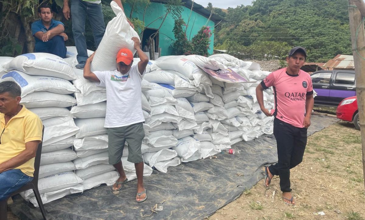 Los productores agrícolas recibieron los fertilizantes subsidiados.