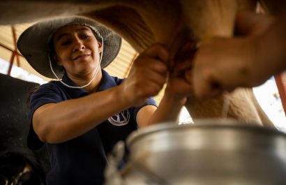 Productores respaldan reforma legal para fijar precio justo de la leche