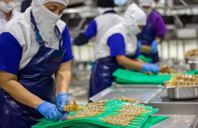 Productos importados de acuicultura enfrentan estrictos controles sanitarios en Ecuador.