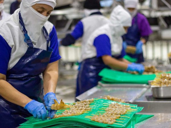 Productos importados de acuicultura enfrentan estrictos controles sanitarios en Ecuador.