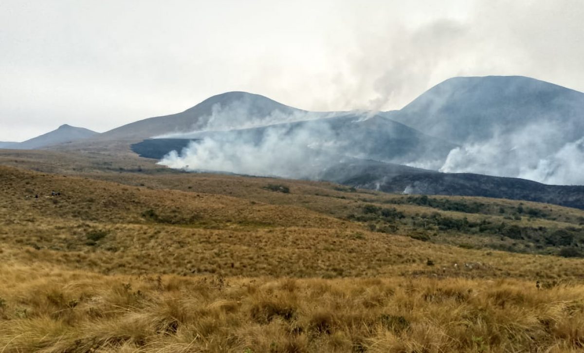 Pronóstico del Inamhi: Temperaturas mínimas descenderán en zonas altas de los Andes y la Amazonía
